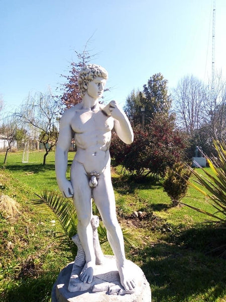 Escultura David